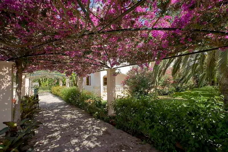 Aparthotel Ferrer Lime Isabel Cala Bona